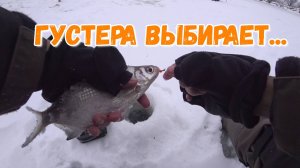 Безкивковая удочка, безмотылка, густера и оранжевый бисер