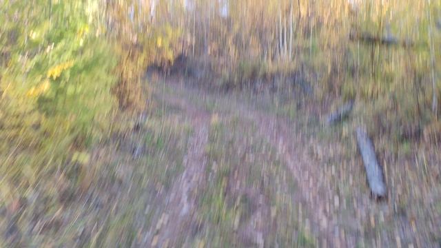 подьем на питбайке