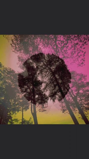disillusion #музыка #атмосфера #music #electronicmusic #atmosphere #song #мелодия #housemusic #элек смотреть онлайн