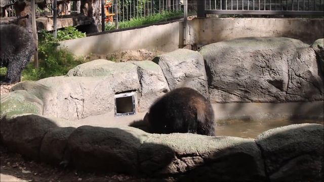 После борьбы полезно принять ванну и подкрепиться 15.09.2025 смотреть онлайн