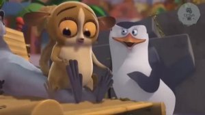 ПИНГВИНЫ МАДАГАСКАРА