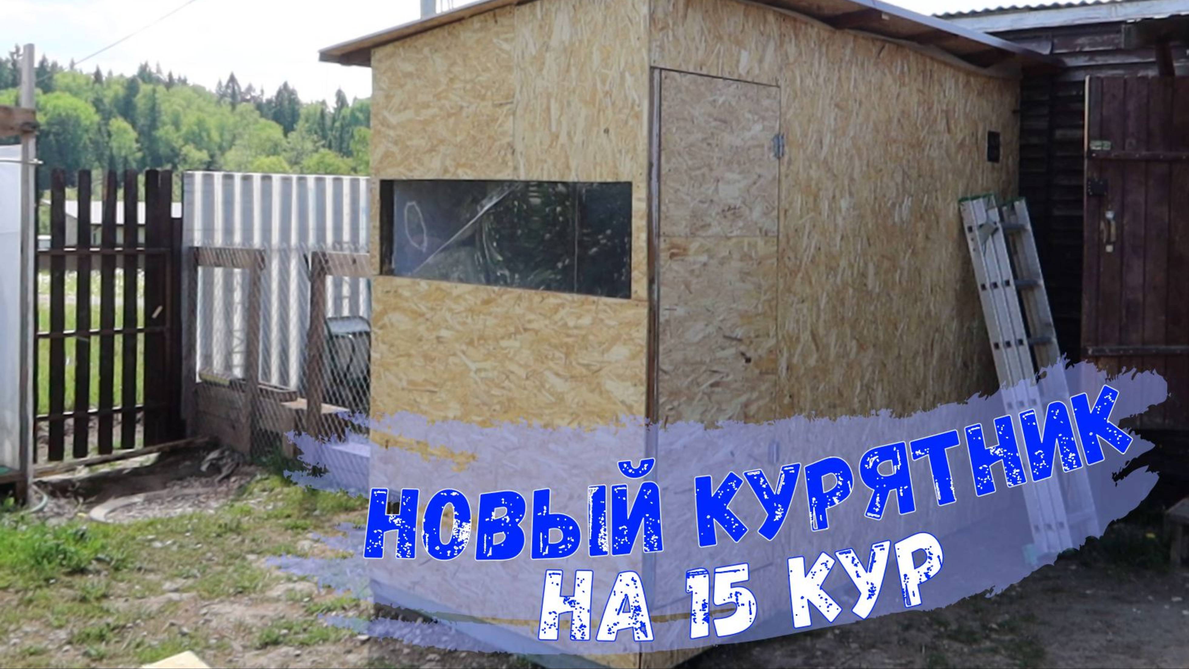 Новый курятник для кур. (май 2024 г.)