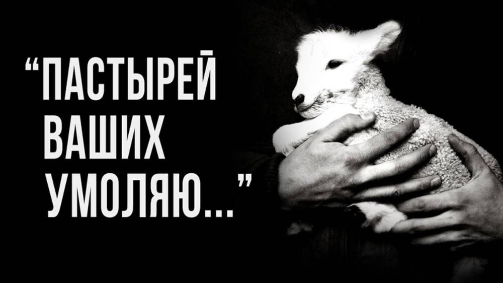 МОЛИТВА О ПАСТЫРЯХ