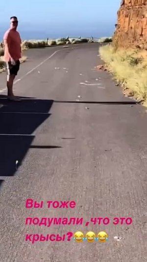 Чего только не бывает 😉