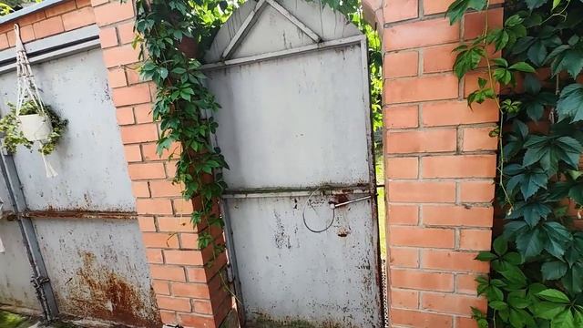 экскурсию по Пенино смотреть онлайн