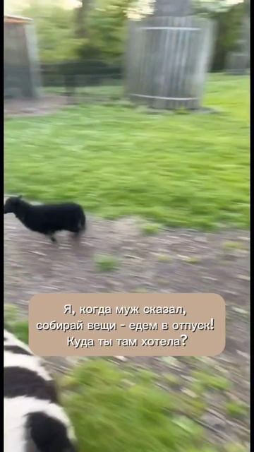 Как муж меняет мое настроение ✨🤸