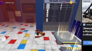 КЭТНЭП выживание