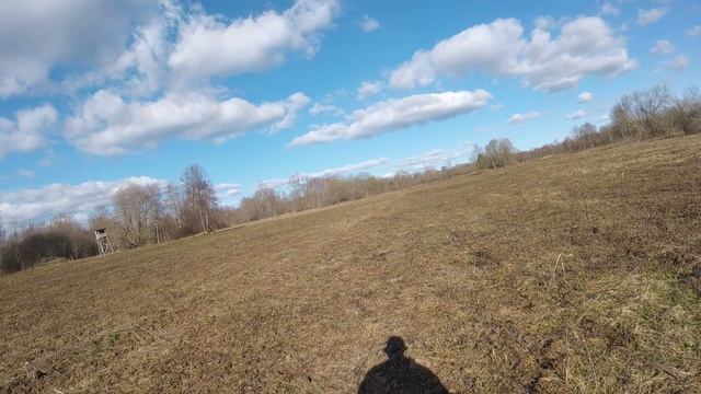 бобр смотреть онлайн