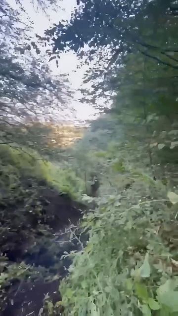 Жесткий новый хард тропа самурая Эндуро Дагестан смотреть онлайн