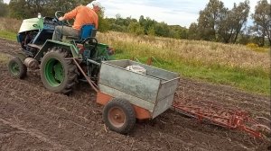 Часть 2. Как я вывожу урожай картошки с огорода. 3 в 1 копка, сбор урожая и вывоз.