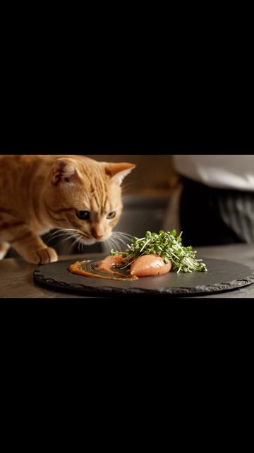 Forget everything you thought you knew about fine dining.