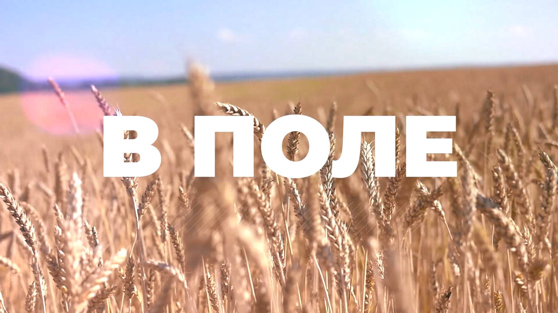 Подкаст «В поле» смотреть онлайн