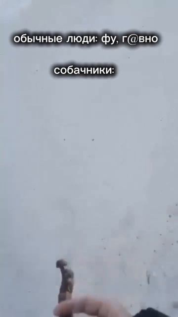 жиза смотреть онлайн