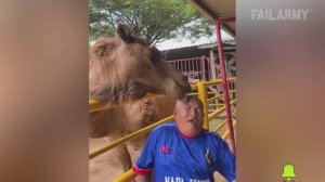 NEW! FailArmy. Best Fails of The Week | Funniest Cringe Fails