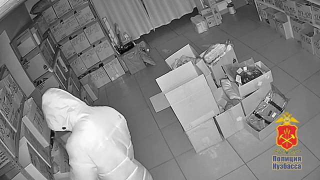 В Кемерове местному жителю вынесен приговор за кражу товаров из пункта выдачи товаров маркетплейса смотреть онлайн