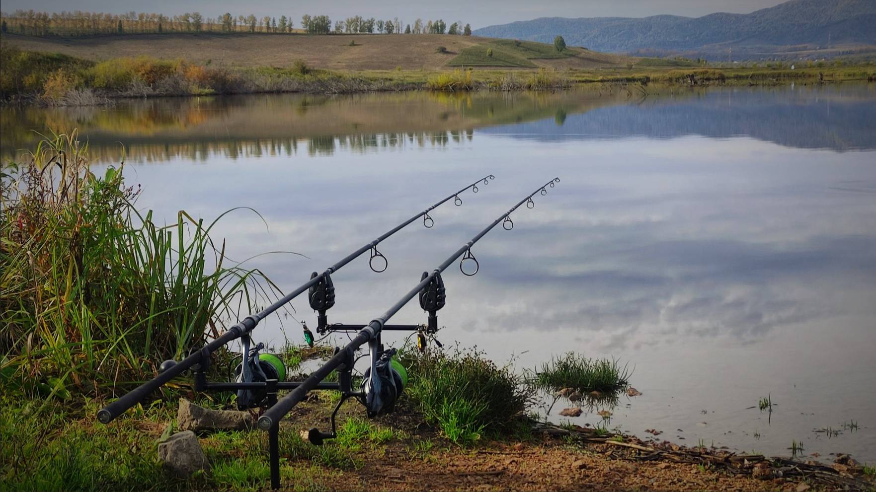 Осенняя рыбалка на карпа Активный клёв на флэт кормушки #карась #carp #flat #рыбалка #fishing #карп смотреть онлайн