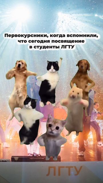 Первокурсники, когда вспомнили, что сегодня посвящение в студенты ЛГТУ смотреть онлайн