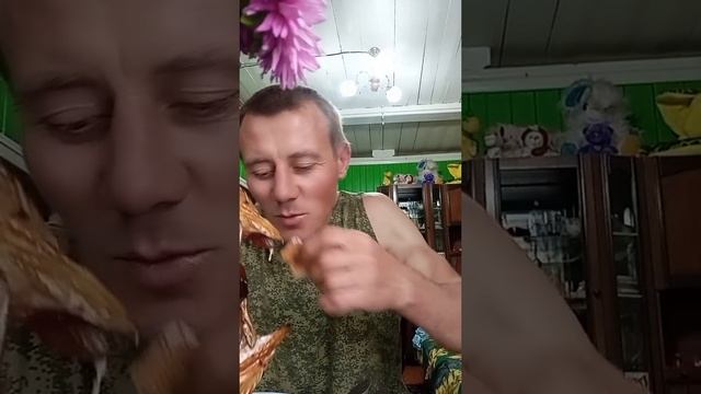 19-09-2025 Приятного аппетита 😋 смотреть онлайн