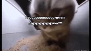 перевод песни чипи чипи чапа чапа дуби дуби даба даба описание!!!!!