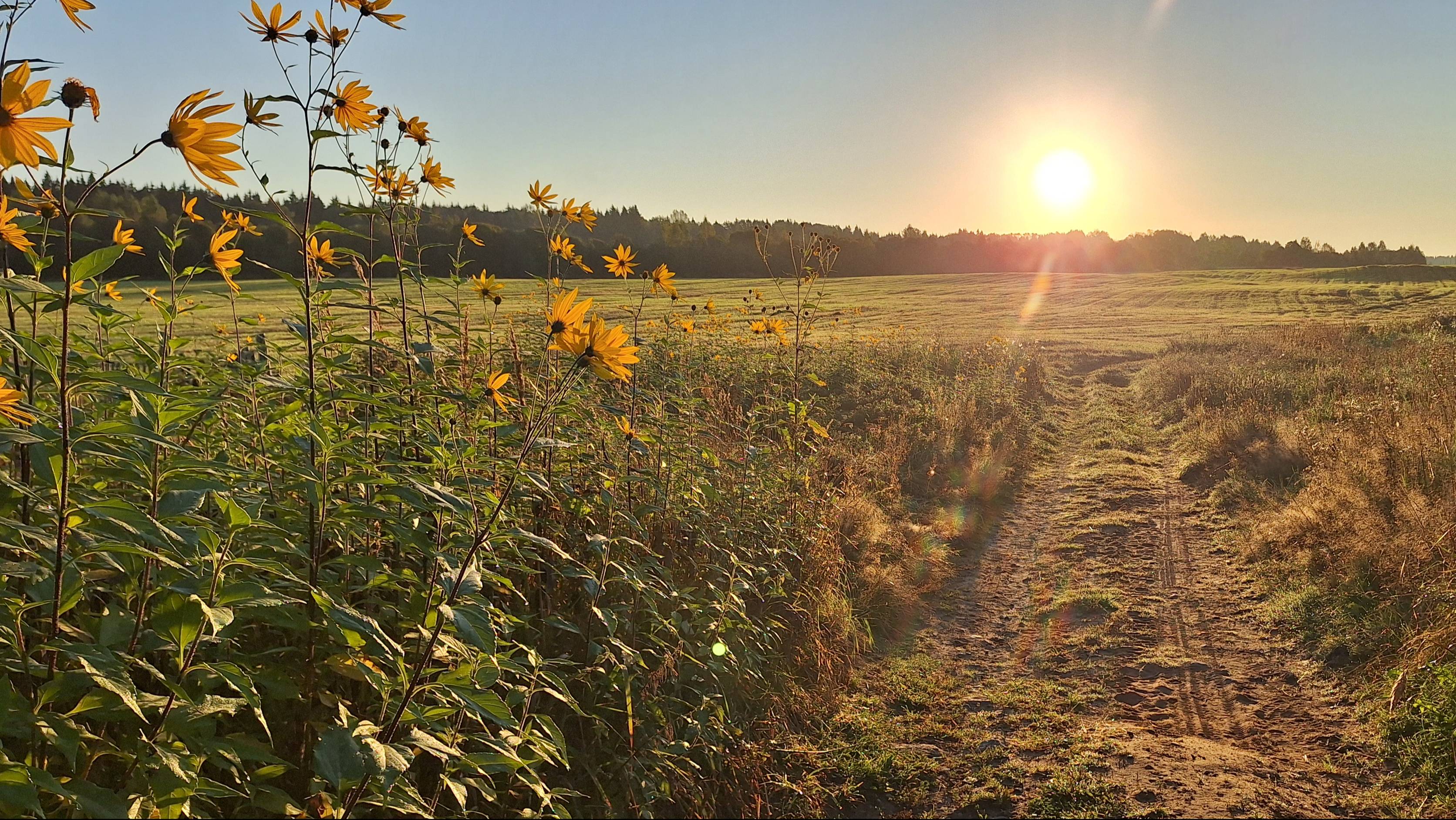 День, проведённый на реке! смотреть онлайн