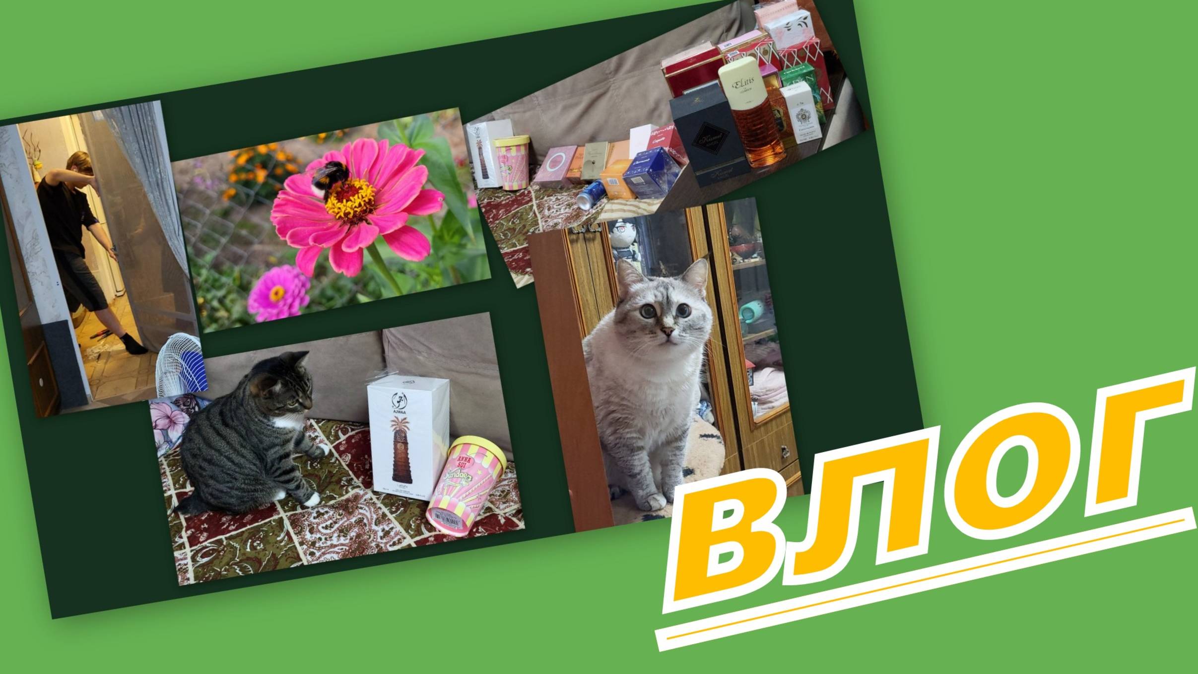 ВЛОГ: Споткнулся, упал, очнулся... НАШИ НОВОСТИ и КУДА ДЕТЬ КОРОБКИ? смотреть онлайн