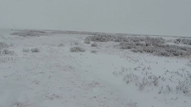 Охота на зайца  Врешь не  уйдешь