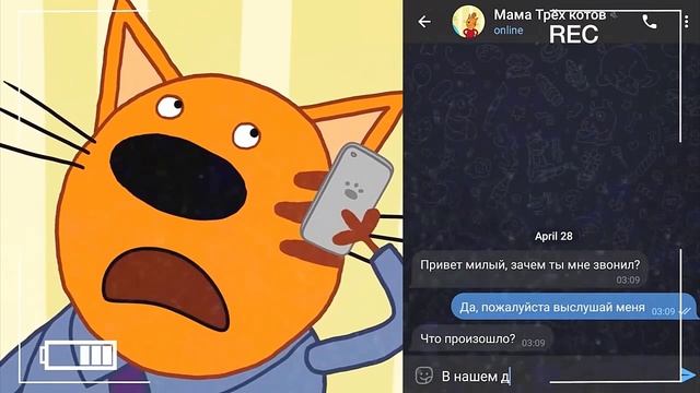 три кота по камерам увидели страшилку