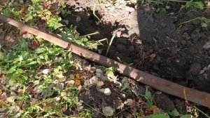 МЕТАЛЛОКОП ЗОЛОТОЙ ОСЕНЬЮ!!! НАХОДКИ ЕСТЬ!!! ТХ-850!!!