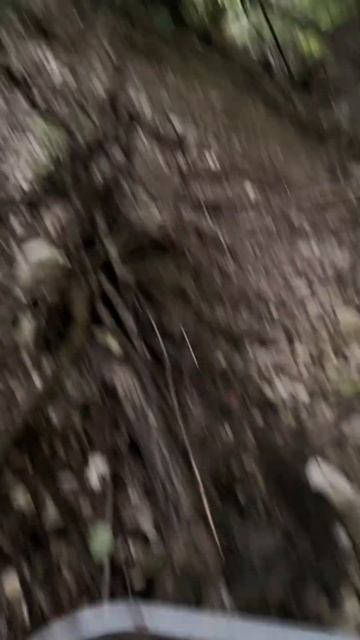 Отличный тренировочный маршрут смотреть онлайн