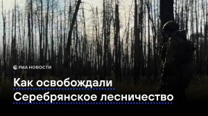 Как освобождали Серебрянское лесничество