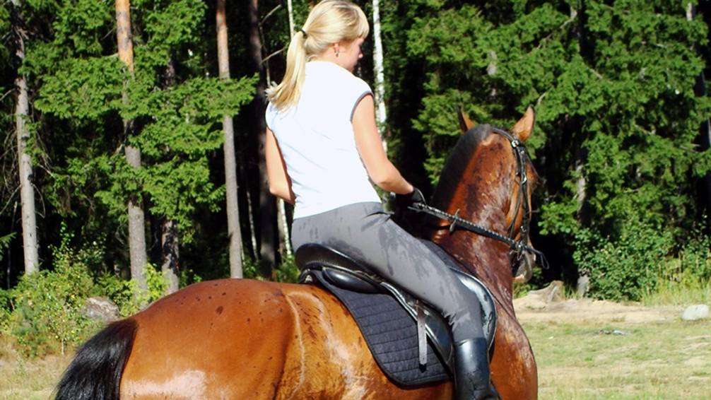 Лесное озеро _ Агалатово смотреть онлайн