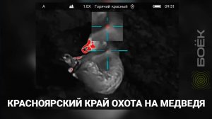 Охота на медведя в Красноярском крае с тепловизионным прицелом SFH VARG 35RL