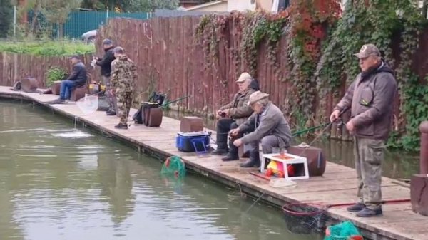 -3467877942666004319