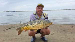 ПОПАЛИ НА ЖОР ТРОФЕЙНЫХ САЗАНОВ И КАРПОВ! О такой рыбалке мечтает каждый рыбак!