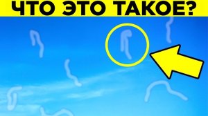 Что Это За Прозрачные Штучки в Глазах? Парад Фактов 8