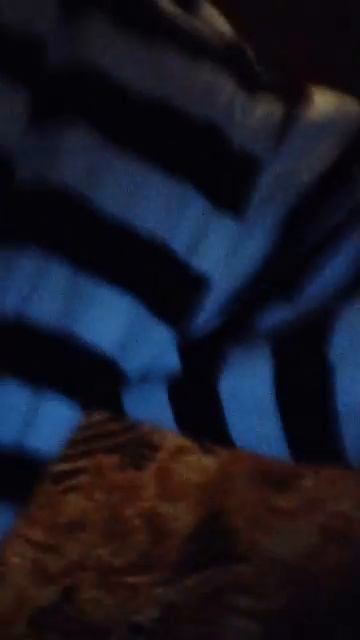 песни
на заказ смотреть онлайн