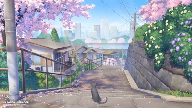 Pov you went to japan to see the cherry blossoms. Spring anime lofi mix смотреть онлайн