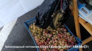 Ярмарка на День города Ставрополя 2025