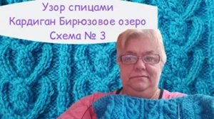 Красивый Аран спицами для Кардигана Бирюзовое озеро Схема 3