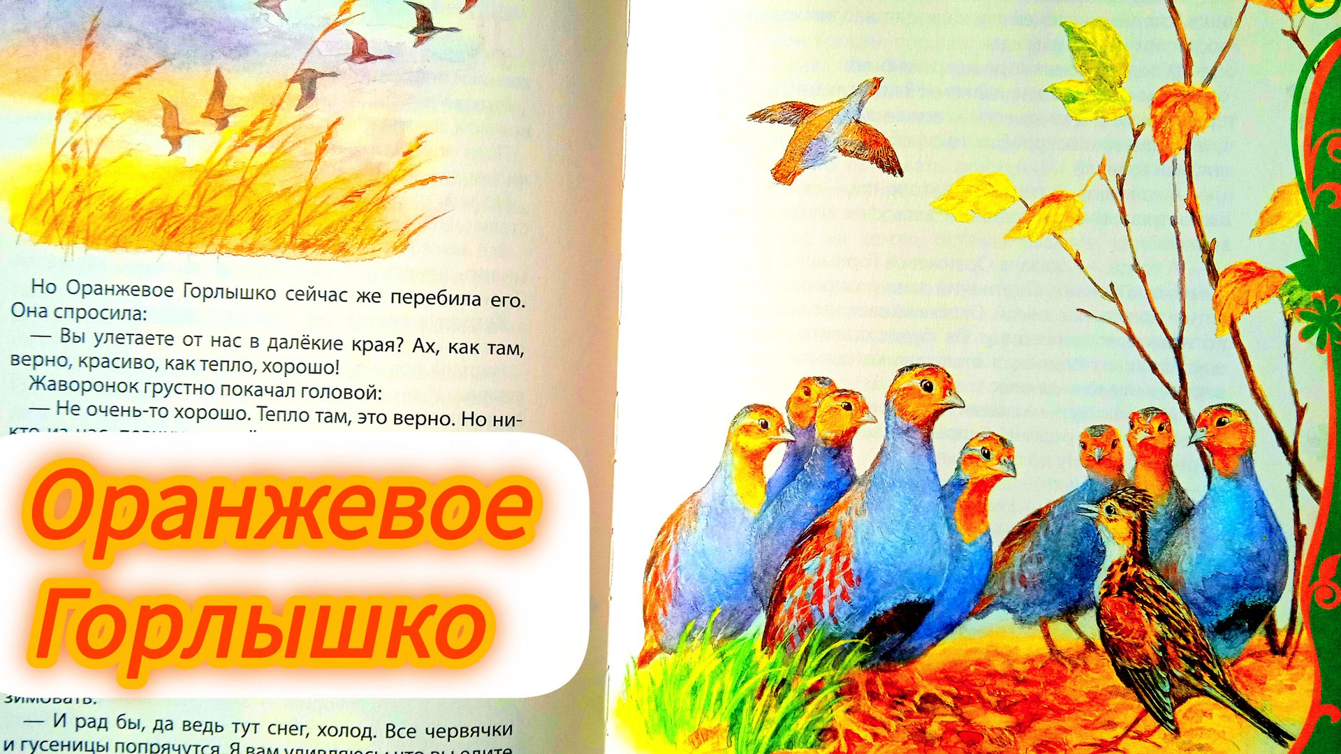 ОРАНЖЕВОЕ ГОРЛЫШКО. В. Бианки смотреть онлайн