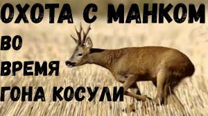 Шикарный трофей во время ГОНа!!! Манок Бутало!