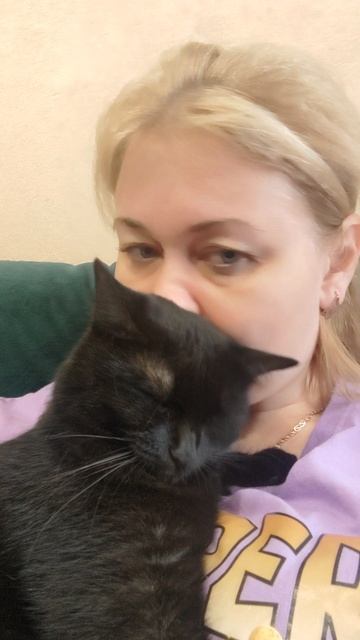 Кошки, такие кошки 🤣👌 #shorts смотреть онлайн