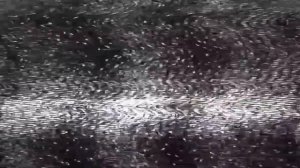 Что если Учёный имел план в Скибиди Туалет 65 часть 2