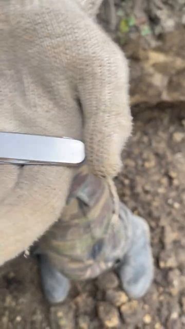 Коп по войне. Отличный нож со дна блиндажа #shortsvideo #digging #ww2 #shortsrutub #коп смотреть онлайн