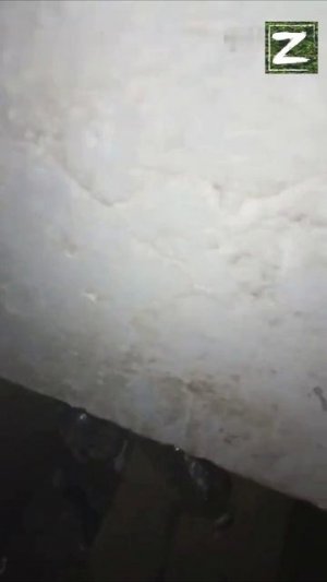 Подъём с переворотом. Как штурмовики прокладывают тоннели под Покровском.