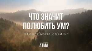Как творить как Моцарт и действовать как Стив Джобс? От хаоса в голове к тишине в сердце