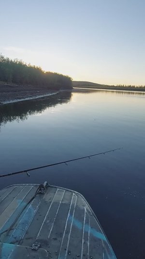 ЛОВИЛИ ЛОВИЛИ И КАК НАЛОВИЛИ!