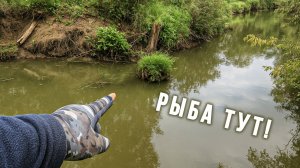 НИКОГДА БЫ НЕ ПОВЕРИЛ что В ТАКОЙ МУТНОЙ реке ЕСТЬ РЫБА 😲 / РЫБАЛКА на XUL спиннинг