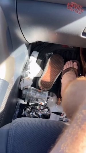 Клип @potexclips