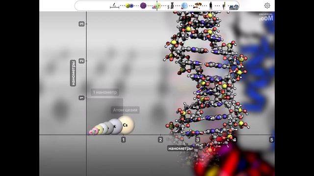 Universal Zoom v 2.8.1 обновление часть 1 смотреть онлайн